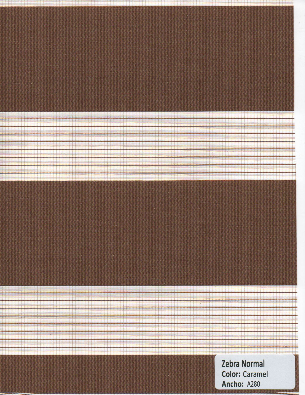 Zebra Normal Brown
